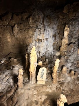 おきなわワールドに投稿された画像（2024/4/29）