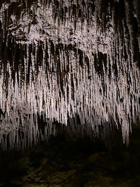 おきなわワールドに投稿された画像（2024/4/29）