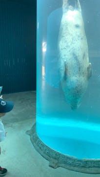 東北サファリパークに投稿された画像（2024/4/29）