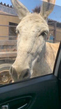 東北サファリパークに投稿された画像（2024/4/29）