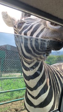 東北サファリパークに投稿された画像（2024/4/29）