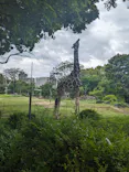 天王寺動物園に投稿された画像（2024/4/29）