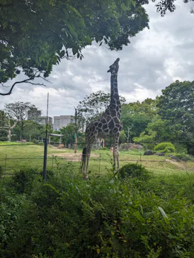 天王寺動物園に投稿された画像（2024/4/29）