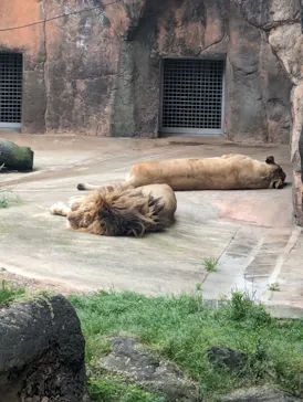 天王寺動物園に投稿された画像（2024/4/29）