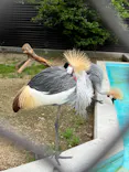 天王寺動物園に投稿された画像（2024/4/29）