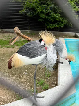 天王寺動物園に投稿された画像（2024/4/29）