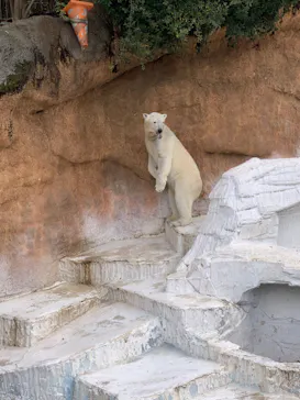 天王寺動物園に投稿された画像（2024/4/29）