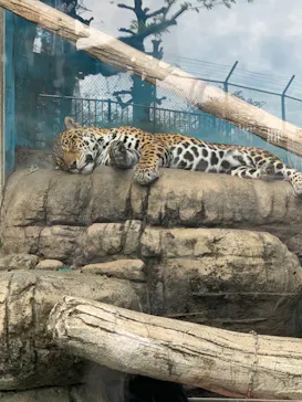 天王寺動物園に投稿された画像（2024/4/29）
