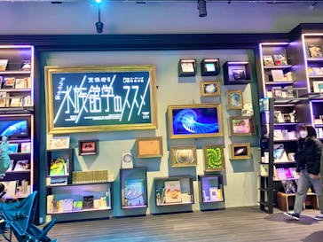 AQUARIUM × ART　atoaに投稿された画像（2024/4/29）