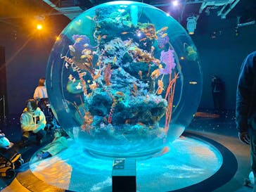 AQUARIUM × ART　atoaに投稿された画像（2024/4/29）