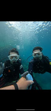 武藤潜水に投稿された画像（2024/4/29）