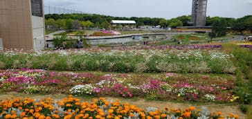 浜名湖花博2024に投稿された画像（2024/4/29）