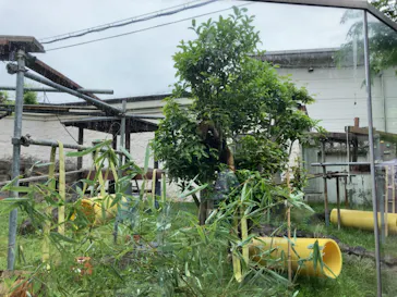 天王寺動物園に投稿された画像（2024/4/29）