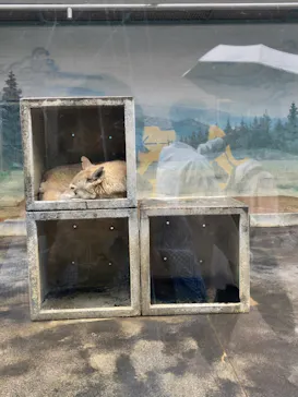 天王寺動物園に投稿された画像（2024/4/29）