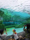 天王寺動物園に投稿された画像（2024/4/29）