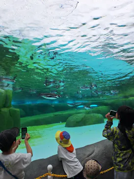 天王寺動物園に投稿された画像（2024/4/29）