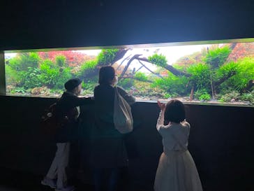 AOAO SAPPOROに投稿された画像（2024/4/29）