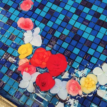 浜名湖花博2024に投稿された画像（2024/4/29）