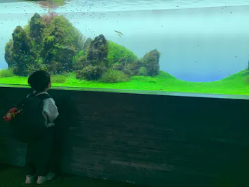 すみだ水族館に投稿された画像（2021/12/22）