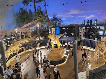 福井県立恐竜博物館に投稿された画像（2024/4/29）