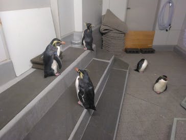 AOAO SAPPOROに投稿された画像（2024/4/29）