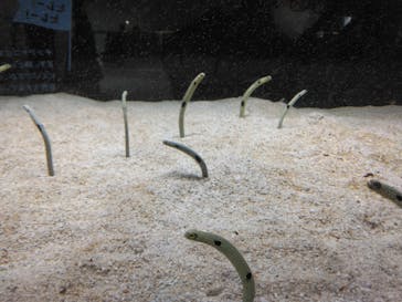 AOAO SAPPOROに投稿された画像（2024/4/29）