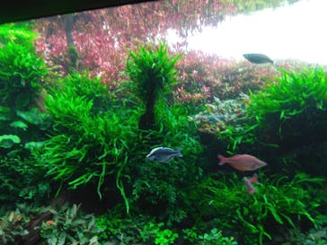 AOAO SAPPOROに投稿された画像（2024/4/29）