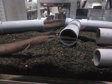 AOAO SAPPOROに投稿された画像（2024/4/29）