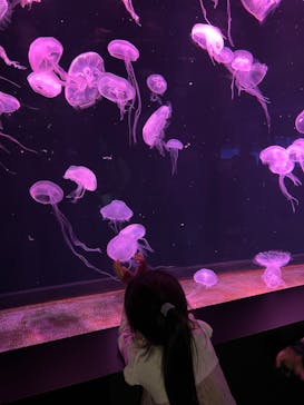 AOAO SAPPOROに投稿された画像（2024/4/29）