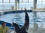 アクアワールド茨城県大洗水族館に投稿された画像（2024/4/29）