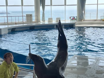 アクアワールド茨城県大洗水族館に投稿された画像（2024/4/29）