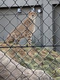 千葉市動物公園に投稿された画像（2024/4/29）