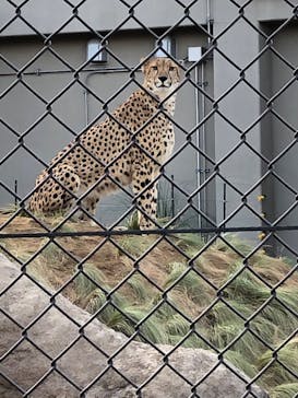 千葉市動物公園に投稿された画像（2024/4/29）