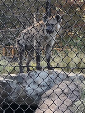 千葉市動物公園に投稿された画像（2024/4/29）