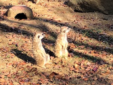 千葉市動物公園に投稿された画像（2024/4/29）