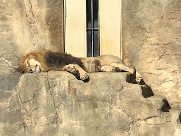 千葉市動物公園に投稿された画像（2024/4/29）