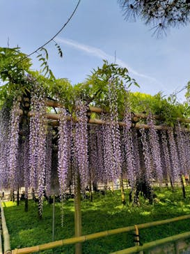 京阪電車に投稿された画像（2024/4/29）