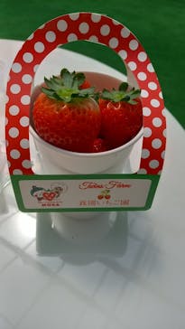 twins farm 真岡いちご園に投稿された画像（2024/4/29）