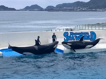 鴨川シーワールドに投稿された画像（2024/4/29）