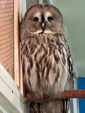 ひらかたパークに投稿された画像（2024/4/29）