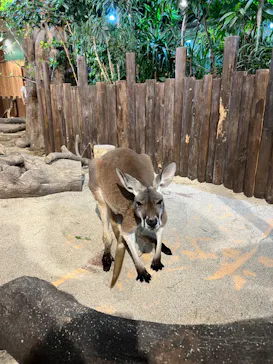 ひらかたパークに投稿された画像（2024/4/29）