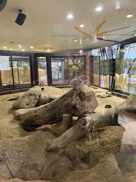 ひらかたパークに投稿された画像（2024/4/29）