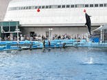 名古屋港水族館に投稿された画像（2024/4/29）