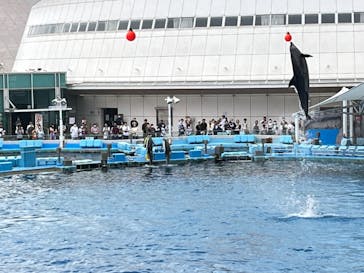 名古屋港水族館に投稿された画像（2024/4/29）
