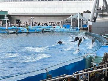 名古屋港水族館に投稿された画像（2024/4/29）