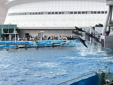 名古屋港水族館に投稿された画像（2024/4/29）