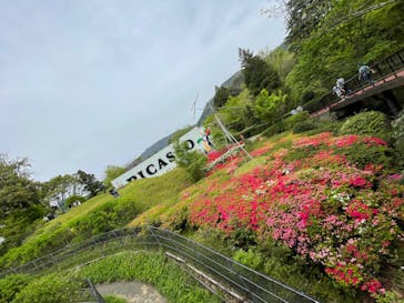 彫刻の森美術館に投稿された画像（2024/4/29）