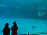 名古屋港水族館に投稿された画像（2024/4/29）