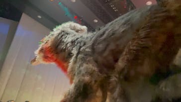 DINO-A-LIVE DINO SAFARI 2025 渋谷ヒカリエに投稿された画像（2024/4/29）