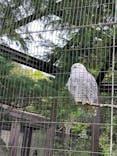 よこはま動物園ズーラシアに投稿された画像（2024/4/29）
